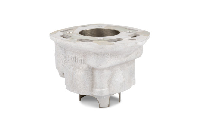 P166.0113 Gruppo Termico Polini Evolution III 70cc, Spinotto Pistone 12mm, MBK Nitro / Aerox