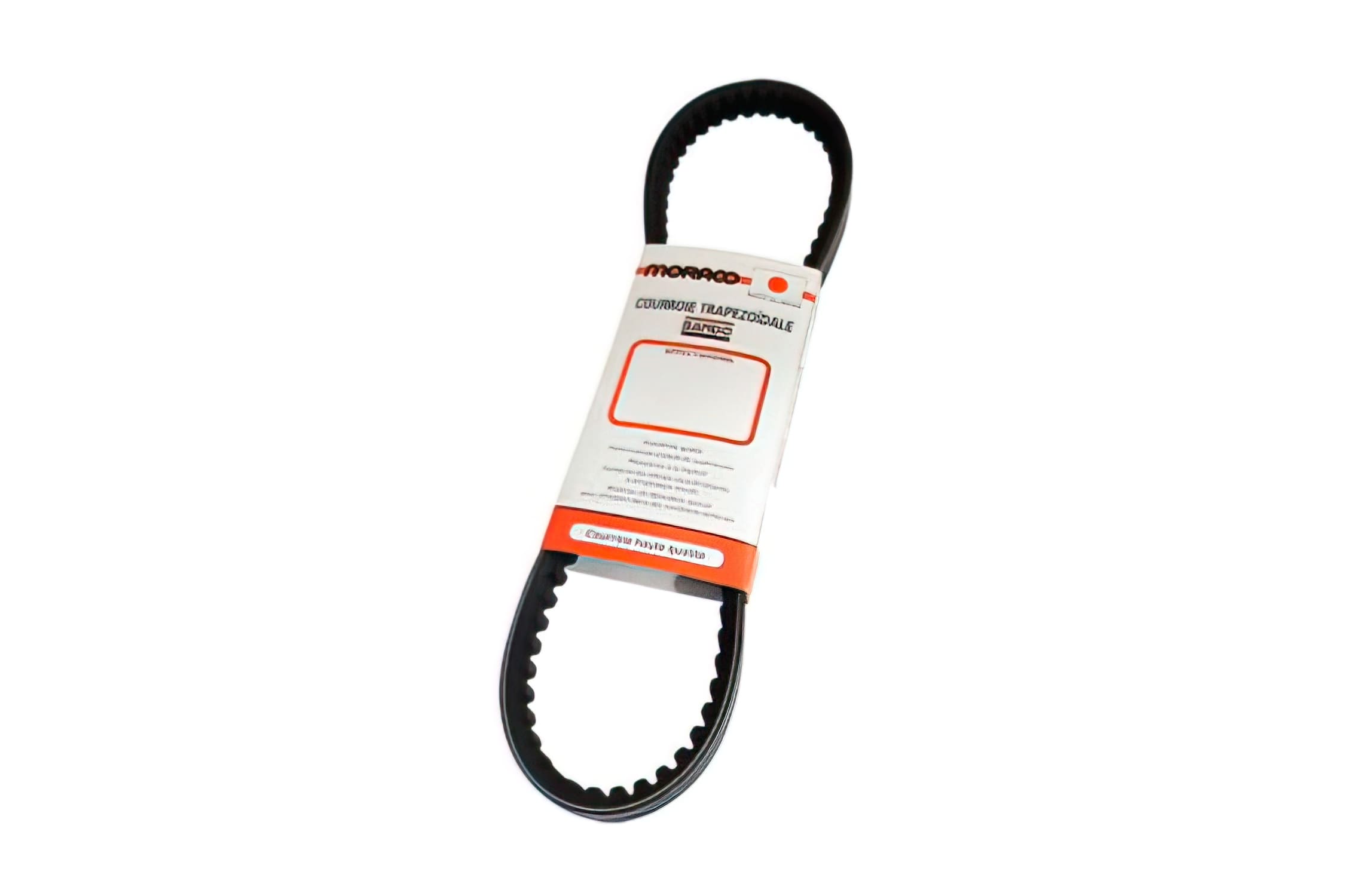 CGN490551 Cinghia Trasmissione Bando 818x19,5x28 € Sym Fiddle 2 125cc dopo 2010