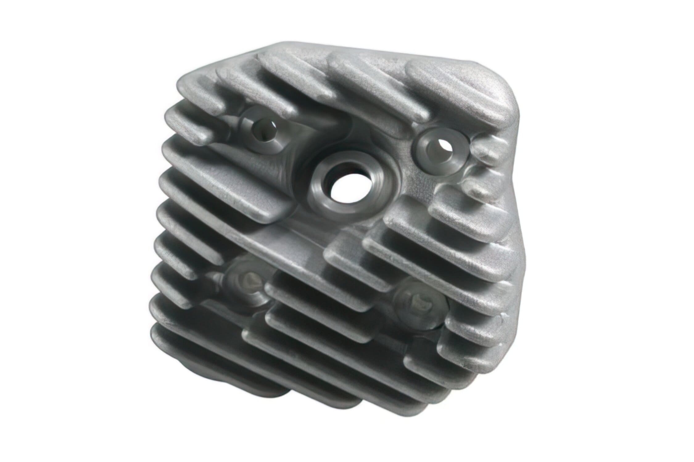 R100070060 Cylinder Head RMS, 40mm, Original Head Cover, Peugeot AC