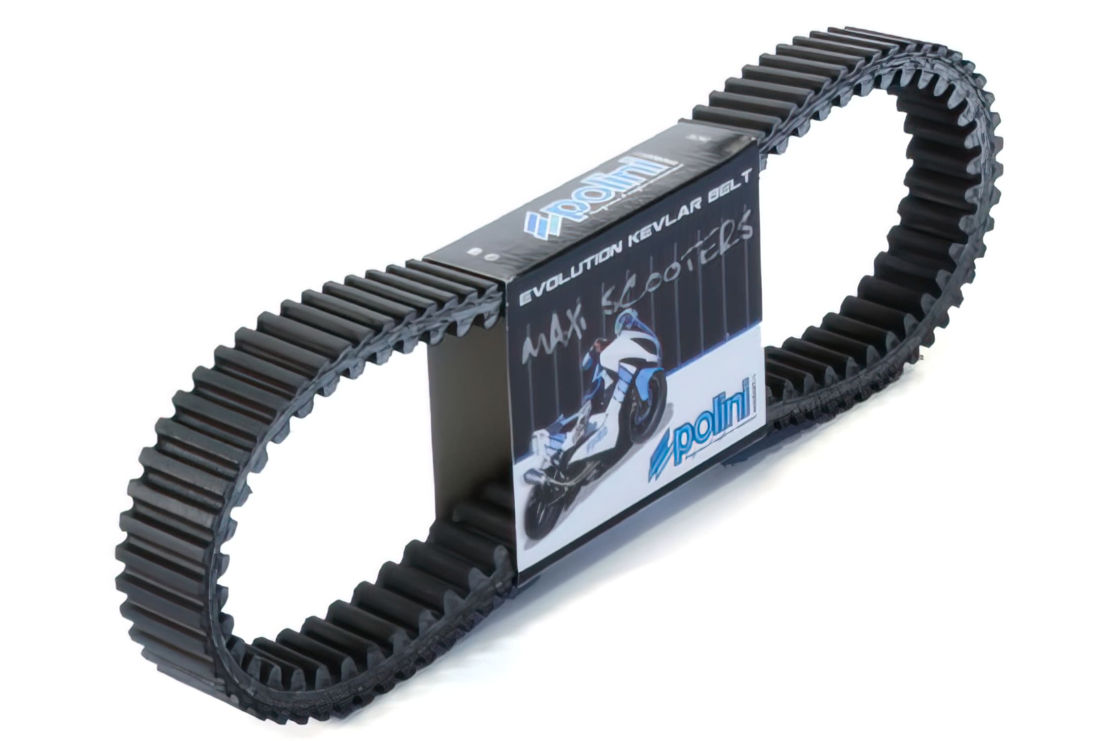 U248.064 Cinghia Polini Evolution Aramid Honda Forza 250cc 4T LC