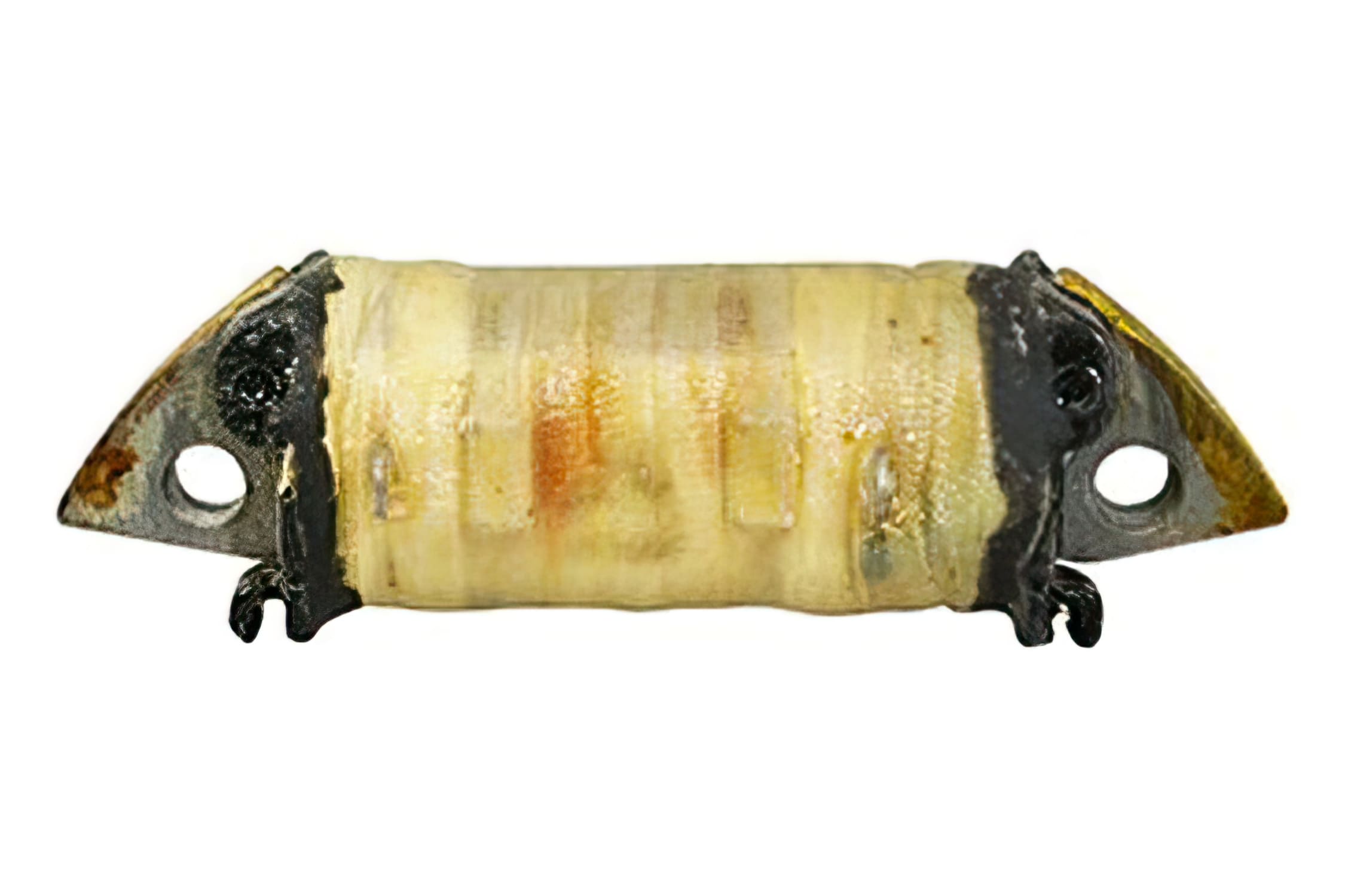 MF09.20115 Bobina Alta Tensione MBK 51 elettronica