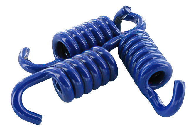 U245.034 Molle Frizione Polini “Speed Clutch” per Frizione originale, Piaggio, d=2,0mm, blu (extra rinforzate) - Billaricambi SRLS