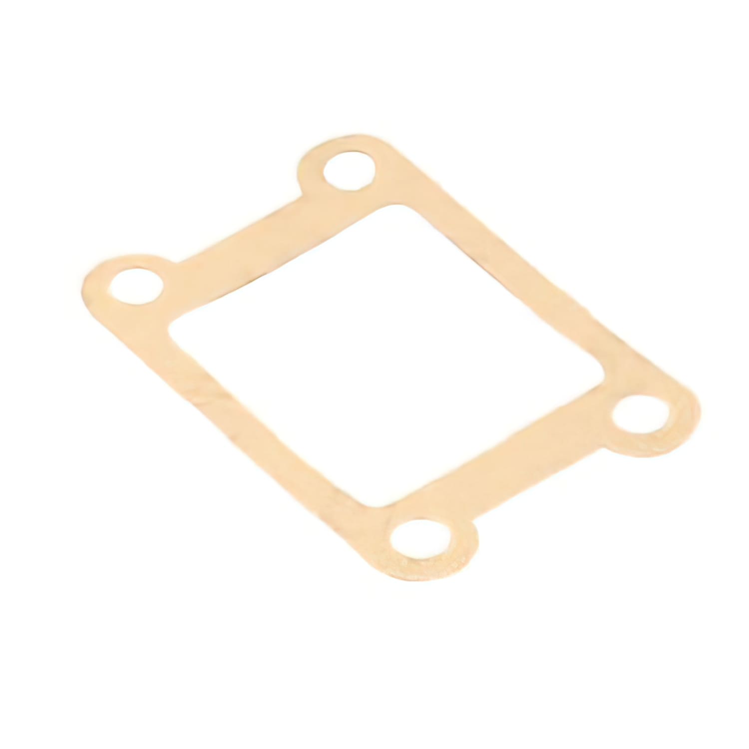 CGN450119 Guarnizione valvola per valvola Doppler Minarelli AM6, COD: CGN450119