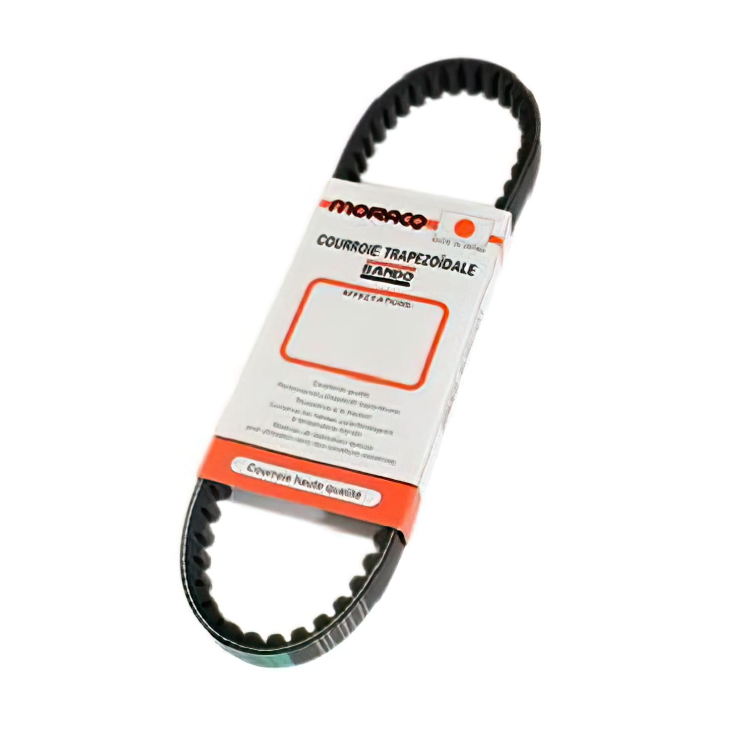 CGN484968 Cinghia Bando Sym 50 Mio, COD: CGN484968