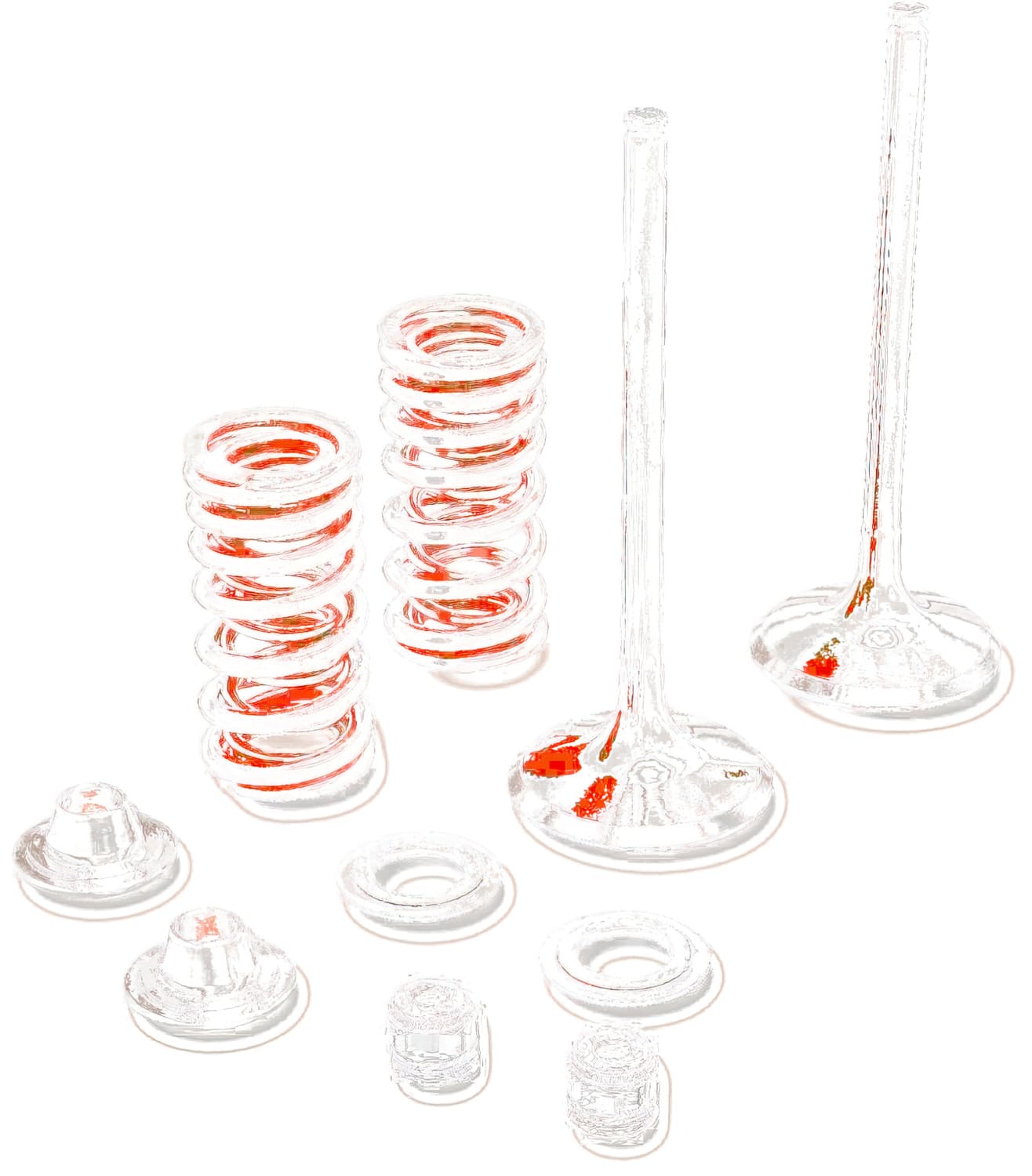 MR09262458 Kit valvole scarico inox Moose Racing YZF 250, COD: MR09262458