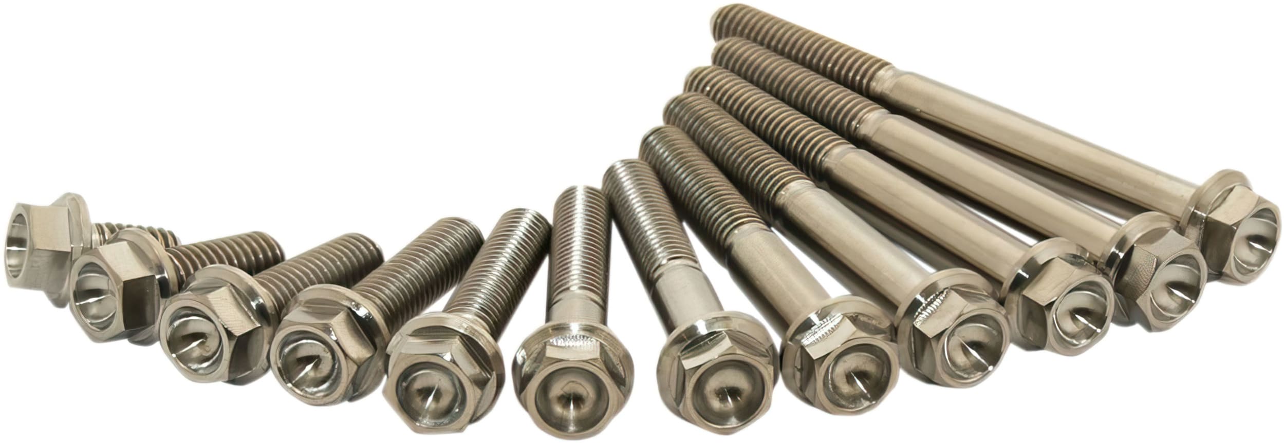SC-24040835 Titanium screws Scar M6X40 (x2)