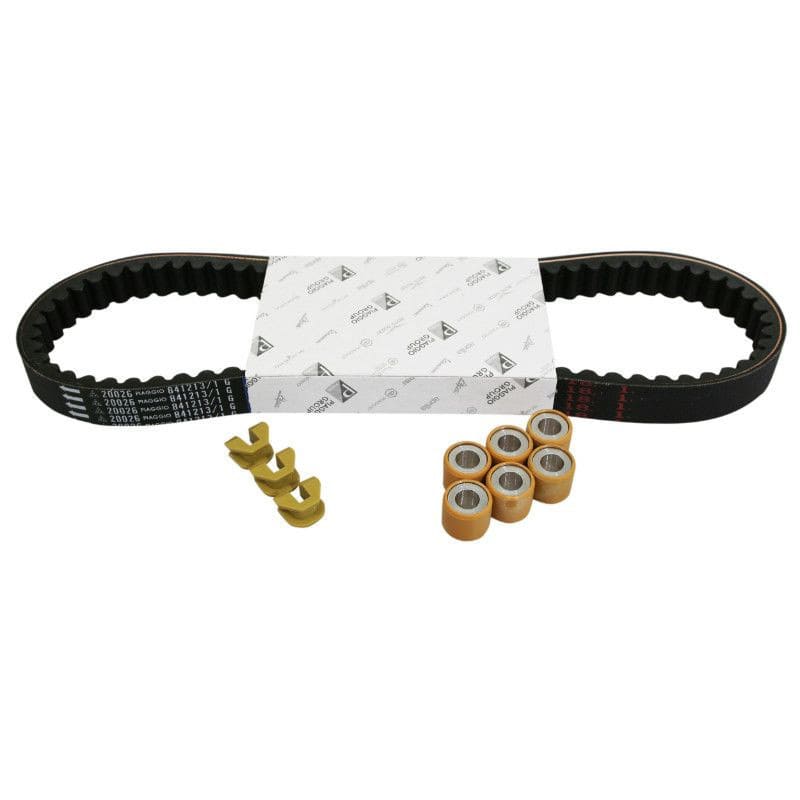 OE-PIA1R000433 Kit revisione variatore - ricambio originale Piaggio MP3 / X-Evo / Vespa GTS 125cc, COD: OE-PIA1R000433