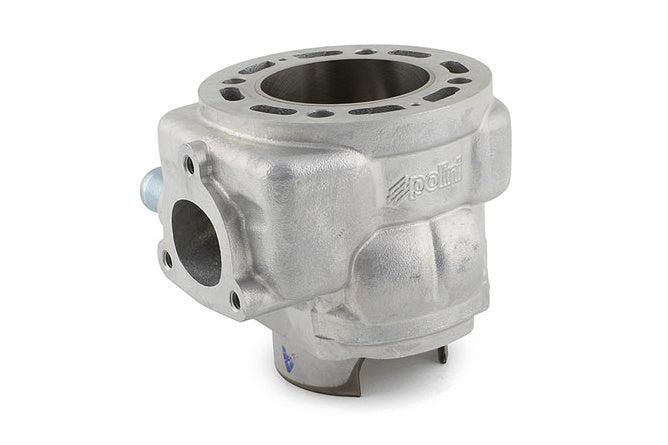 P166.0111 Gruppo Termico Polini Big Evolution 94cc, Alesaggio 52mm, Corsa 44mm, 13 mm