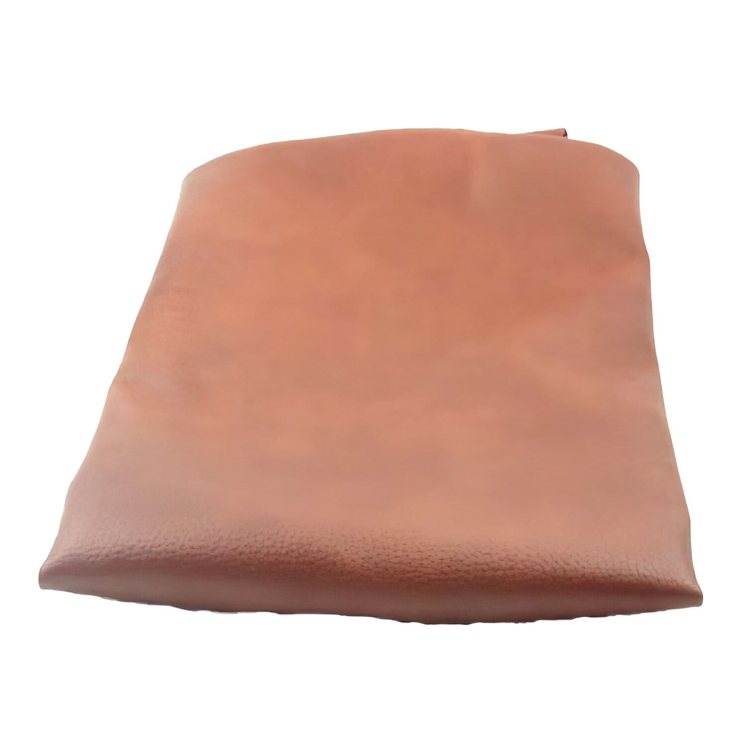 SP-89755 Coprisella Sym Allo / Cello Brown Xtreme