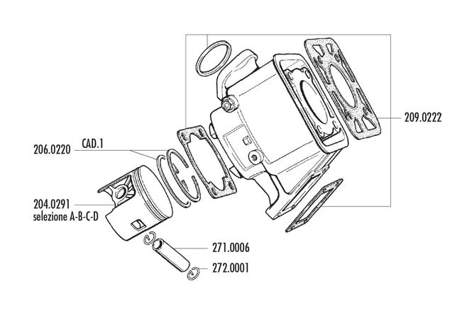 P206.0220 Fascia elastica Polini 100cc Yamaha DT 80 - Billaricambi SRLS