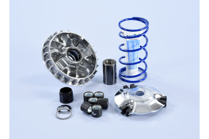 P241.766 Variatore Polini Hi-Speed Yamaha Vespa Primavera 125 dopo 2016 - Billaricambi SRLS