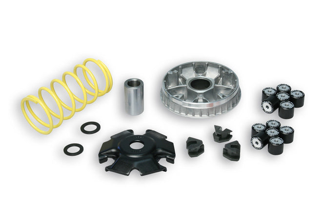 M5118659 Variatore Malossi Multivar 2000 Peugeot Tweet 125 Euro 5 - Billaricambi SRLS
