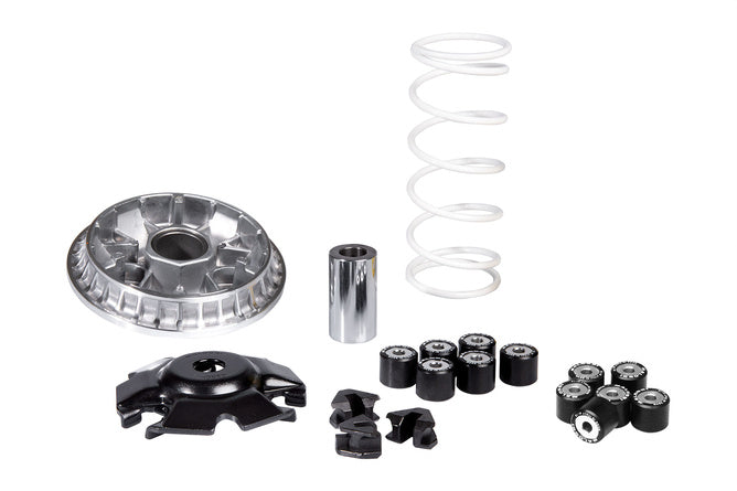 M5118776 Variatore Malossi Multivar 2000 Honda Forza 125 Euro 5 - Billaricambi SRLS