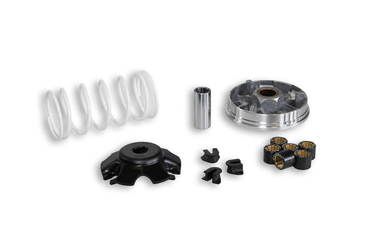 M5111364 Variatore Malossi Multivar 2000 Honda Bali 100