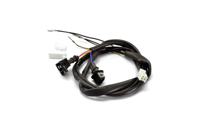 P171.0205 Cablaggio centralina ECU Polini Vespa Primavera 125 2016 - 2020 - Billaricambi SRLS