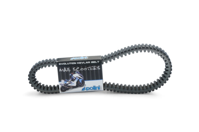 P248.134 Cinghia Polini Maxi Evo Honda SH 350 dopo 2021 - Billaricambi SRLS