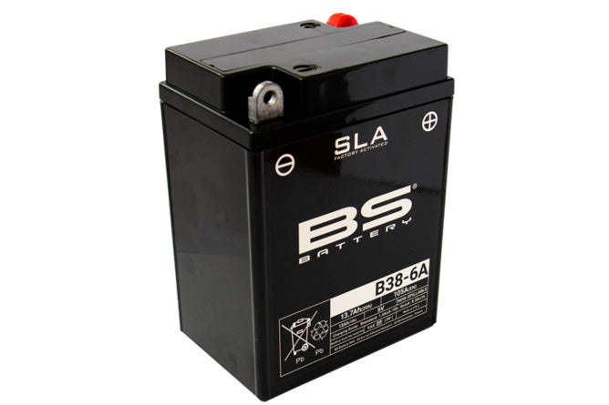 BS-300919 SLA Battery BS Battery B38-6A 6V - 13,7Ah