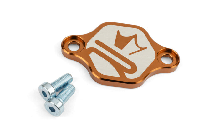 KR778F Coperchio pompa olio KRM AM6 / Derbi bronzo