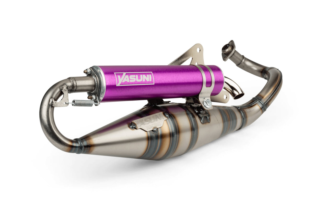 YAS420V-RPRO Scarico Yasuni R-Pro Piaggio Viola