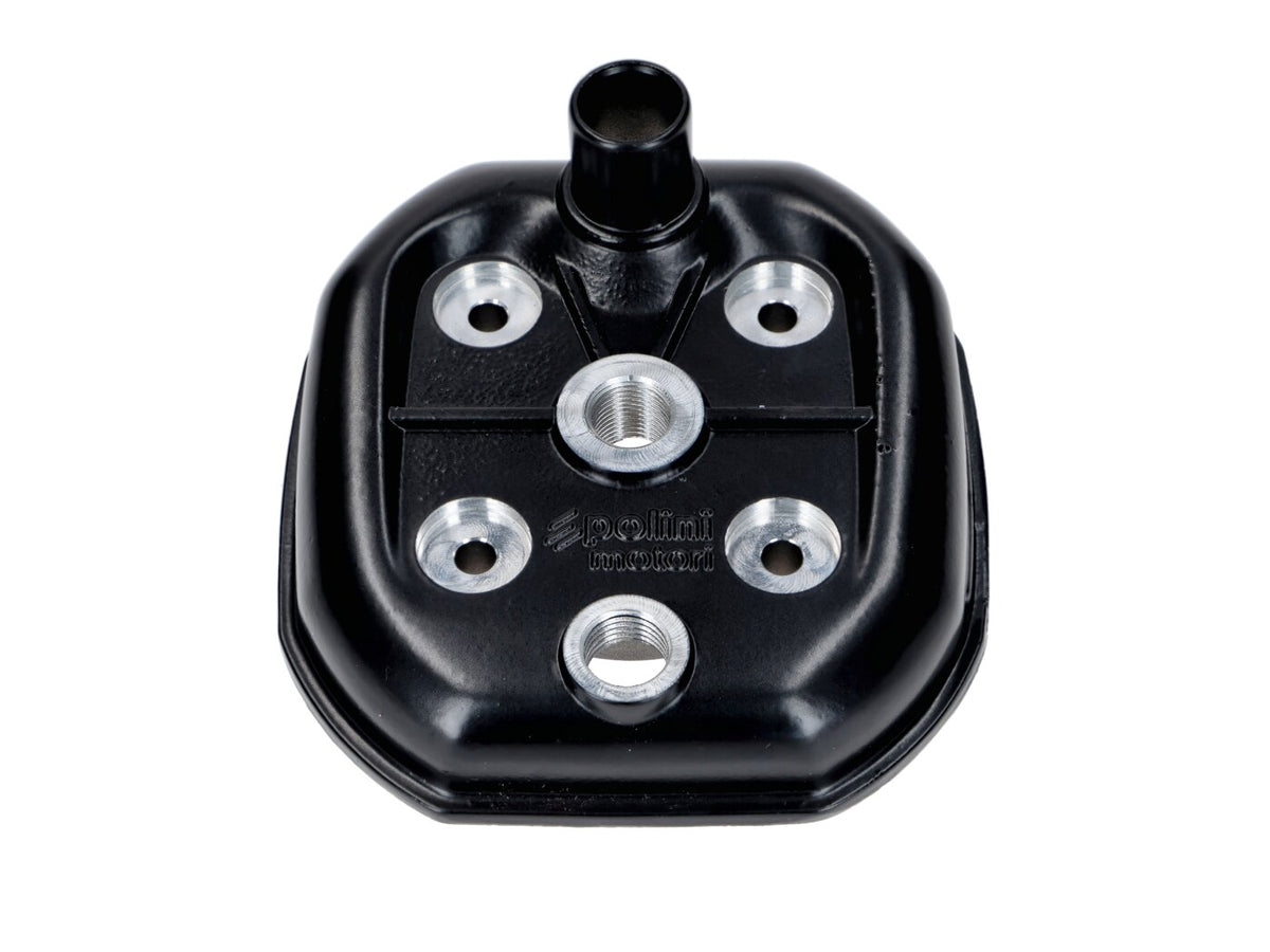 P119.0028/SR Gruppo termico d.46mm Polini Honda Camino LC