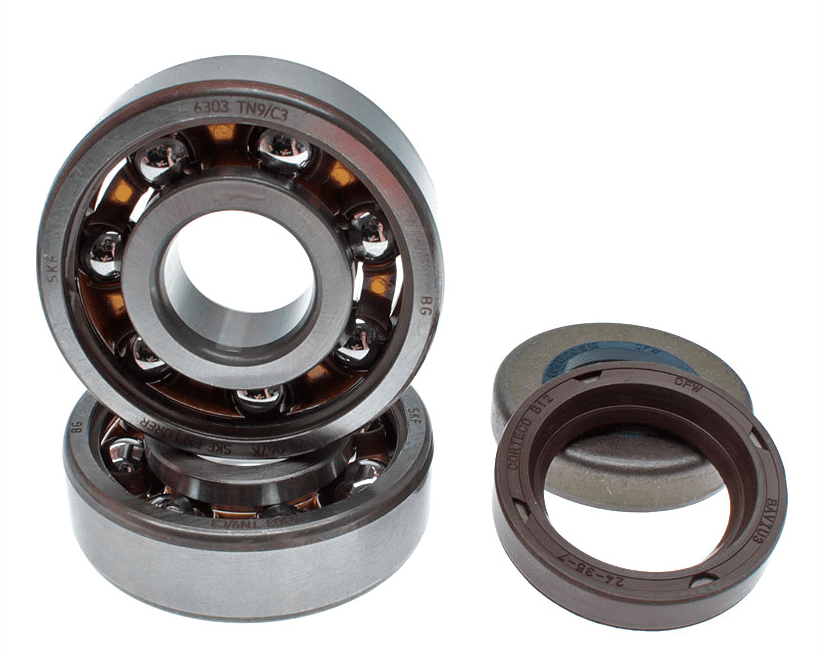 SET CUSCINETTI MINARELLI AM6 SKF