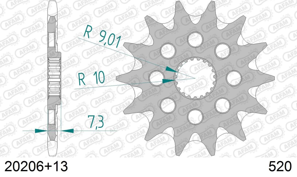 A20206.13SC Pignone AFAM autopulente - 13 denti - CR 125 87-03