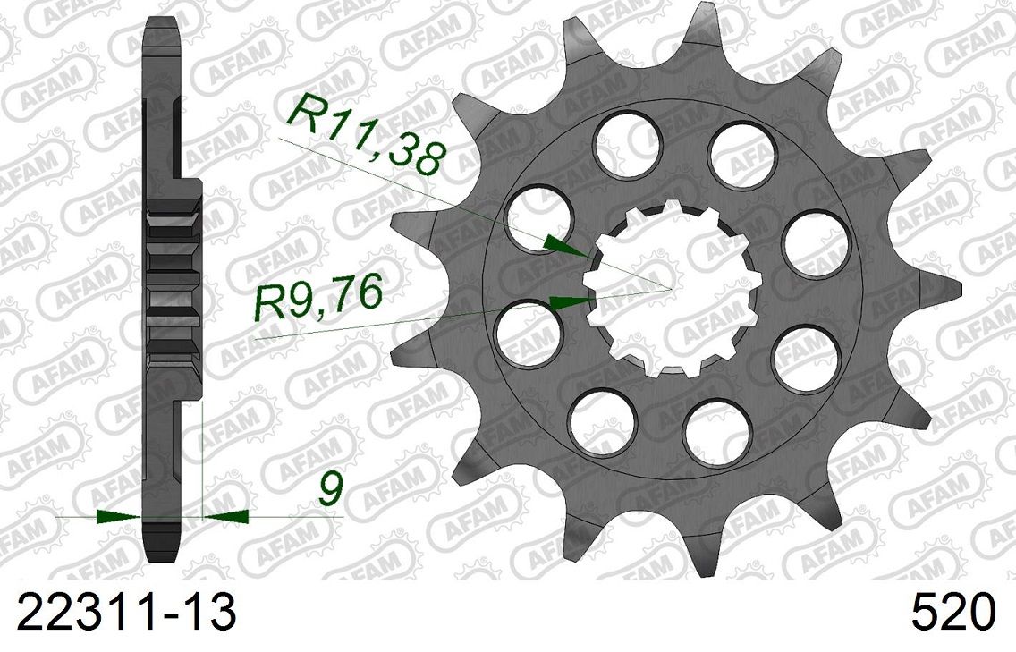 A22311.13 Pignone AFAM - 13 denti - RMZ 250