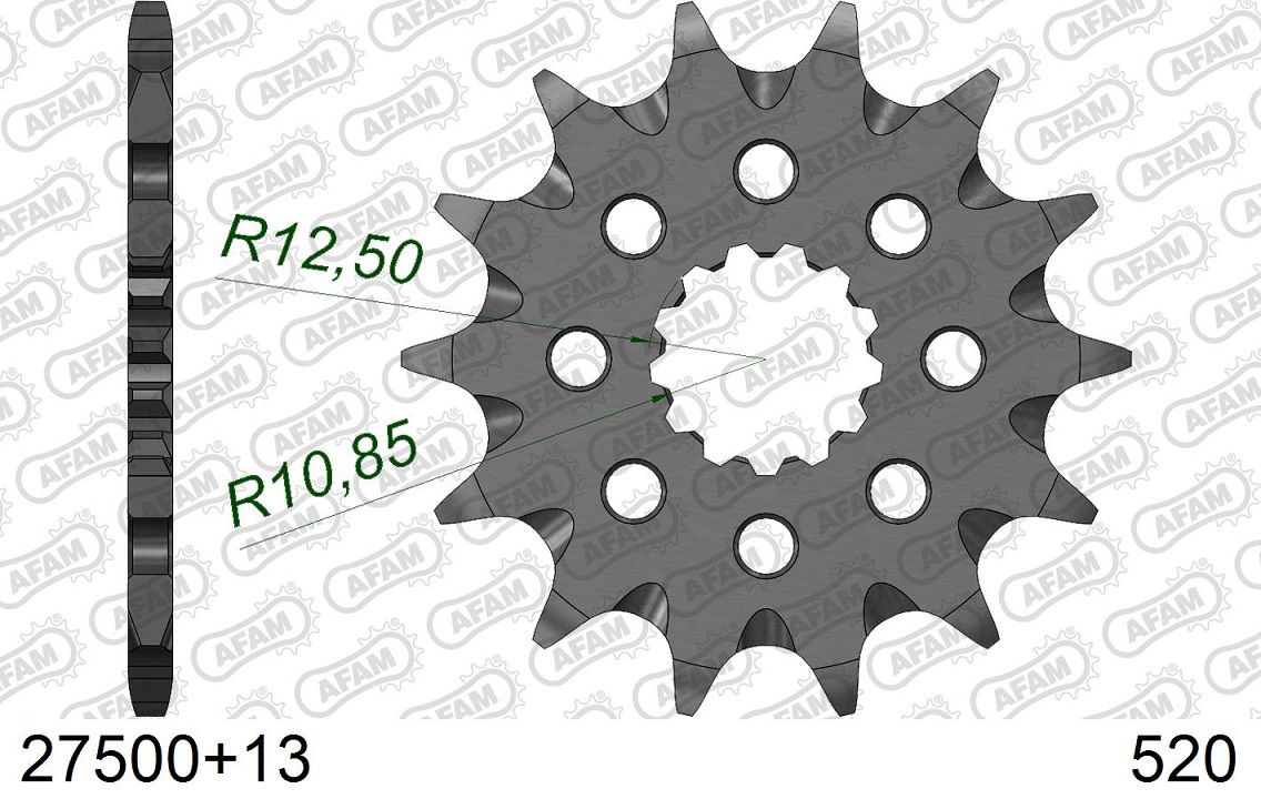 A27500.13SC Pignone AFAM autopulente - 13 denti - FANTIC KAWASAKI YAMAHA
