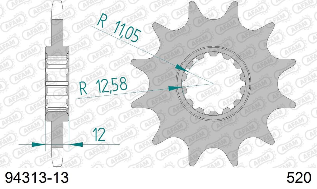 A94313.13 Pignone AFAM - 13 denti - GASGAS RIEJU 250/300
