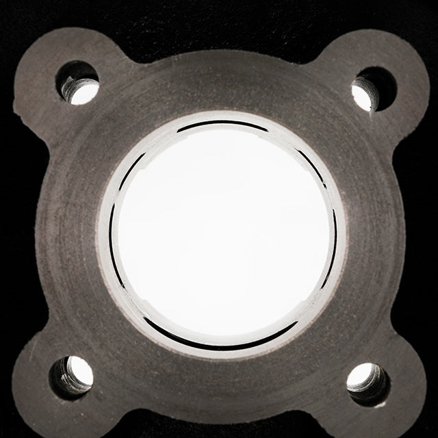 AP15CY51.178.LC Cilindro AllPro 50cc Peugeot orizzontale LC