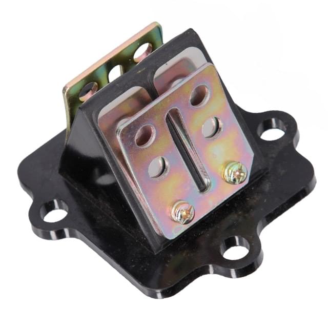 AP30RV10.166 Valvola lamellare Minarelli orizzontale AllPro