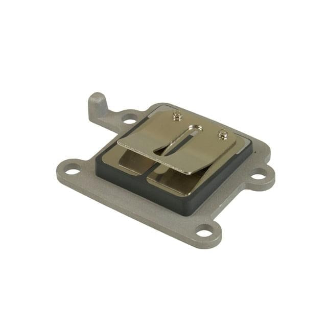AP30RV10.168 Scatola lamellare verticale Minarelli AllPro