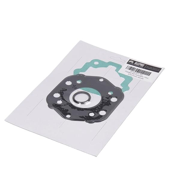 AP35GS71.192 Guarnizioni per cilindro Derbi Euro 2 70cc Iron AllPro