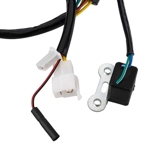 AP50IG20.410 Accensione statore Kymco Dink 125/150 Allpro