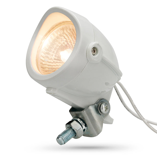 AP50LT50.000.WH Lampada alogena 12V/35W 50/57mm AllPro