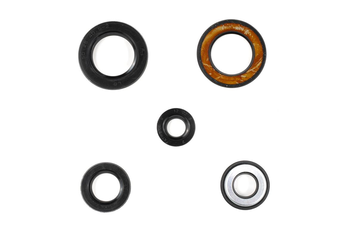 GU84423T Serie paraoli motore TT 600E 94-01