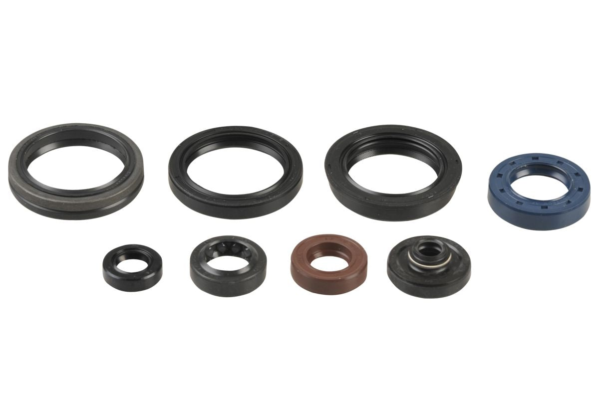 GU84519T Serie paraoli motore RMZ 250