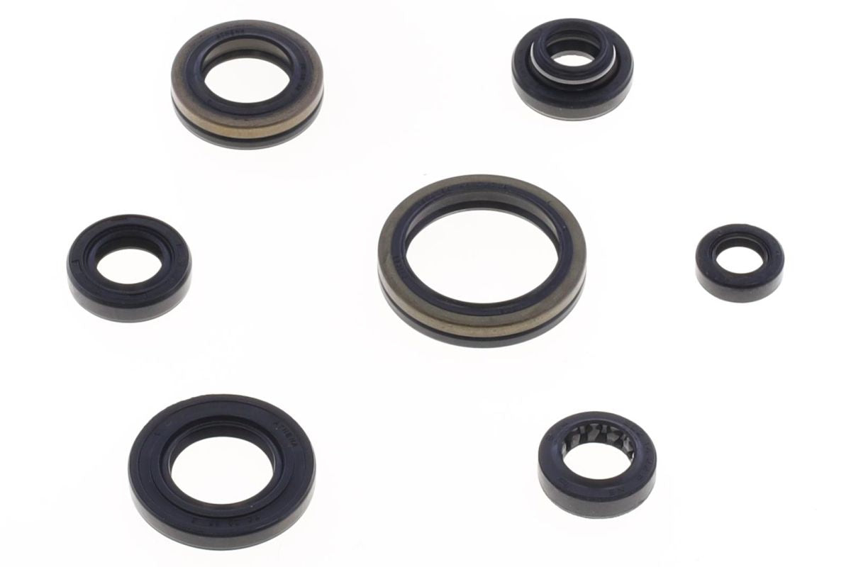 GU84558T Serie paraoli motore RM 80/85