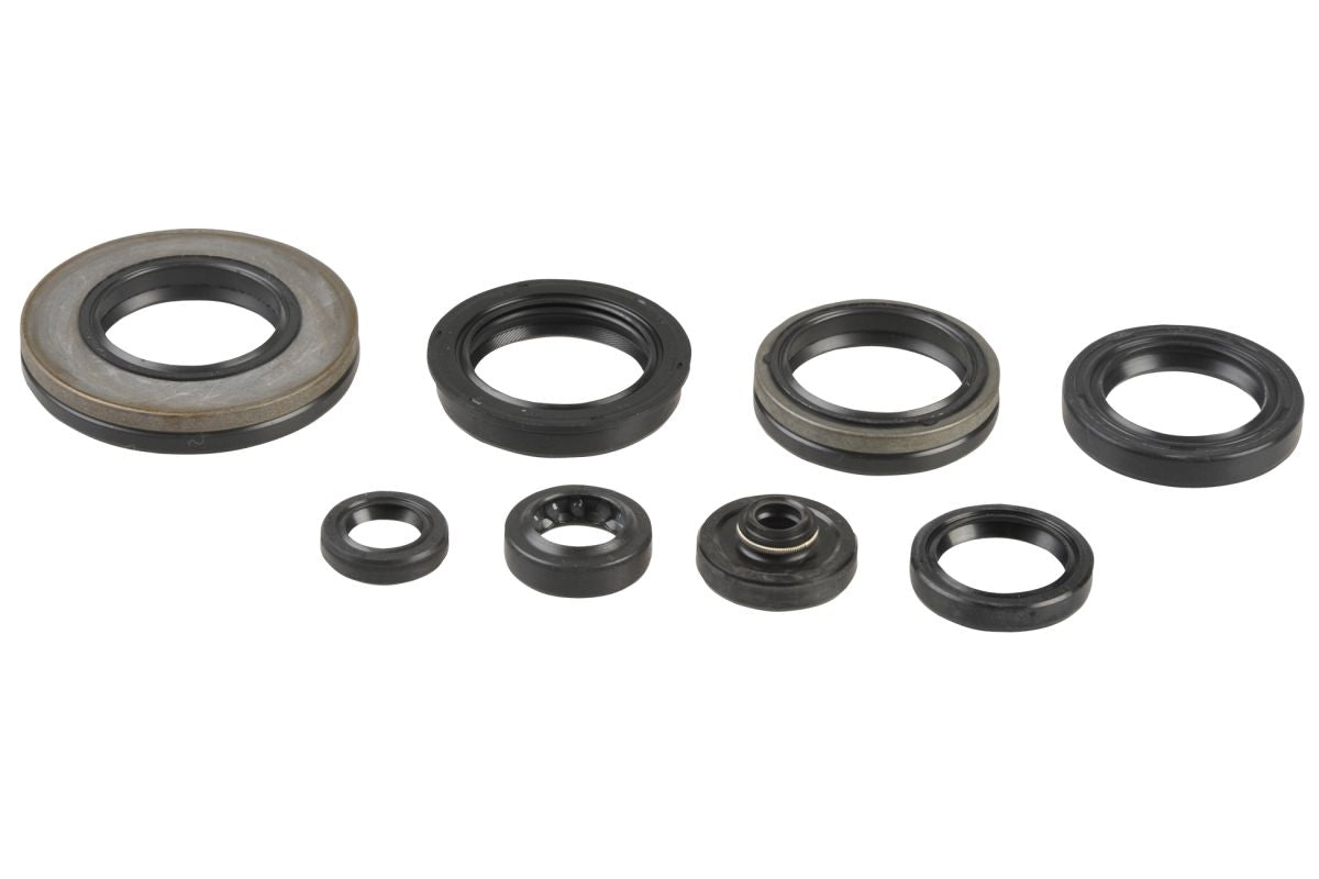 GU84561T Serie paraoli motore RM 250 03-12