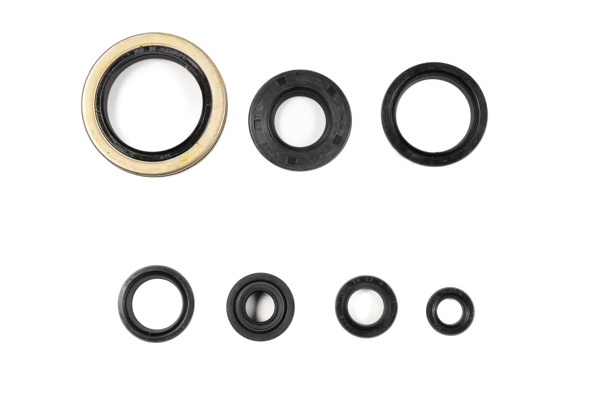 GU84670T Serie paraoli motore RM 250 89-92