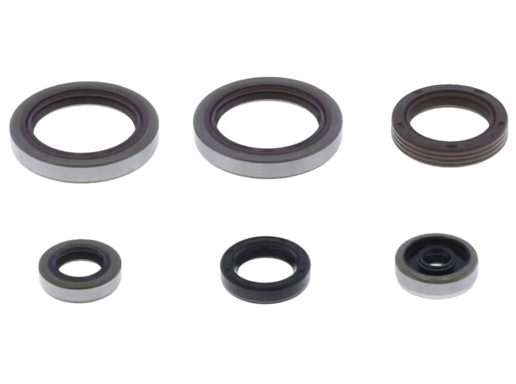 GU84673T Serie paraoli motore BETA RR 125 2T