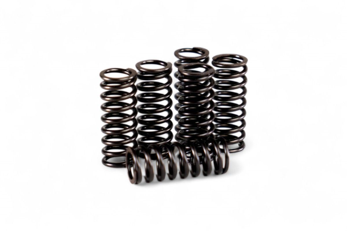 HDS116.6 Kit molle frizione rinforzate CRF 450 R/X