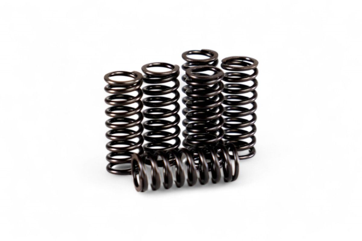 HDS125.6 Kit molle frizione rinforzate RMZ 450