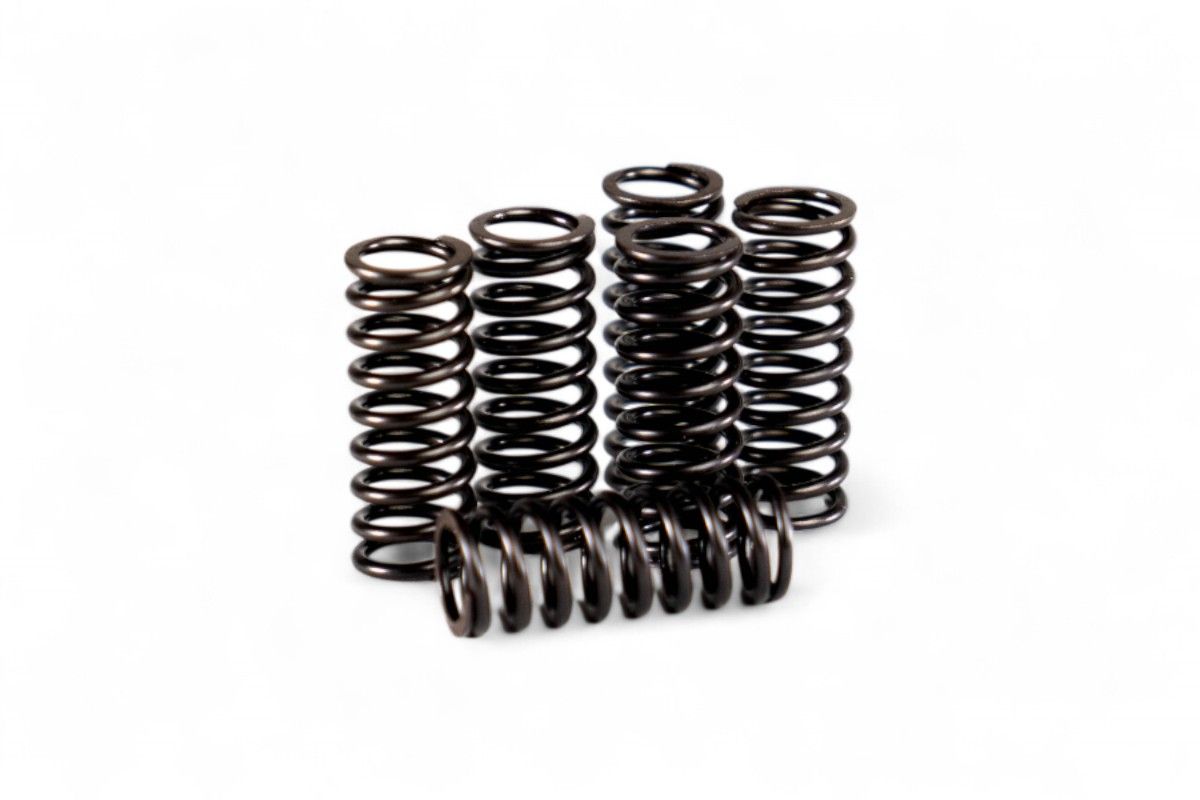 HDS160.5 Kit molle frizione rinforzate CRF 250 R 20-21