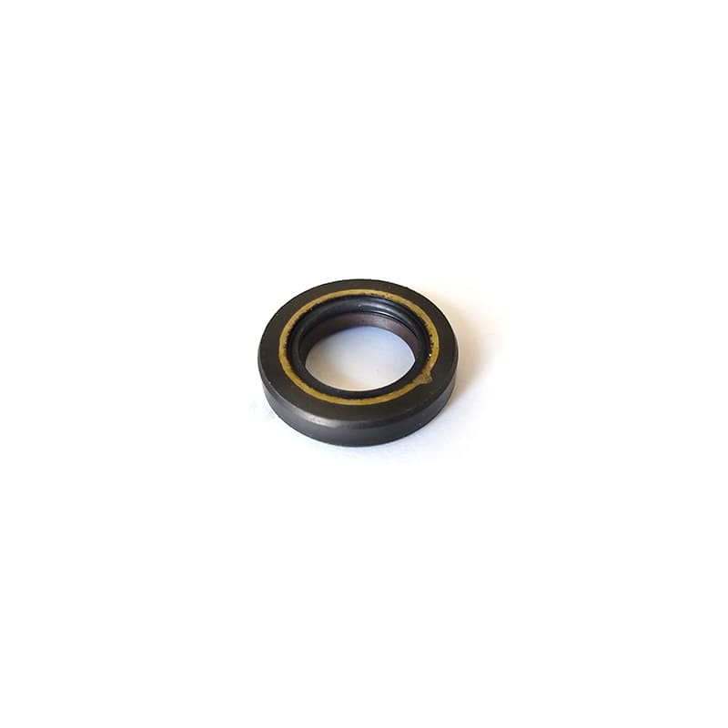 Oil seal 17x28x5.5mm.