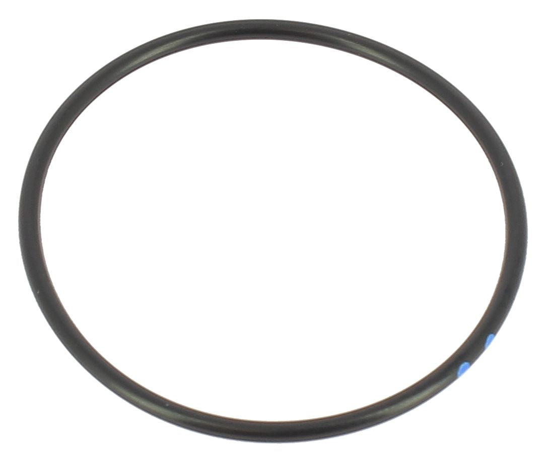 SH08016 O-ring fascia pistone monoammortizzatore SHOWA - HONDA KAWASAKI SUZUKI