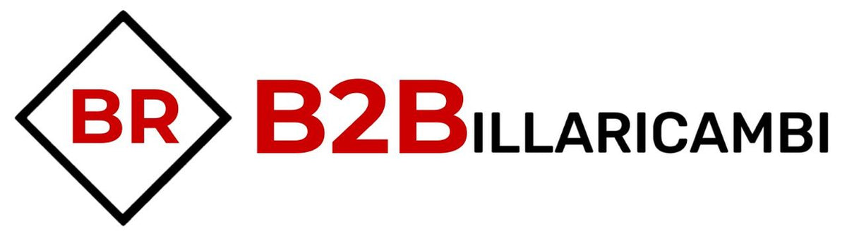 Pre-Registrazione Professionisti: Accesso Anticipato al Portale B2B Billaricambi