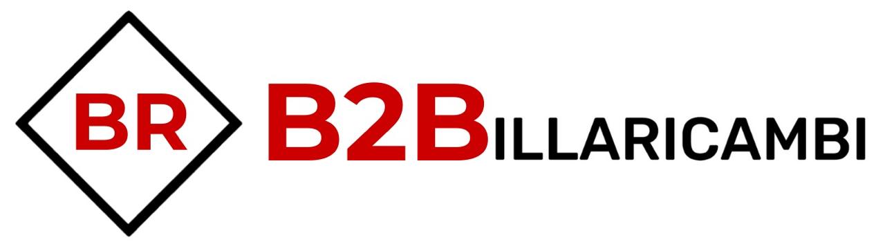 Pre-Registrazione Professionisti: Accesso Anticipato al Portale B2B Billaricambi