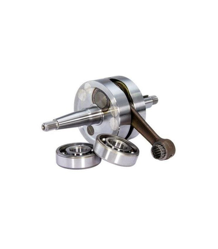 9921720 albero motore corsa standard spalle piene x am top + cuscinetti skf am6