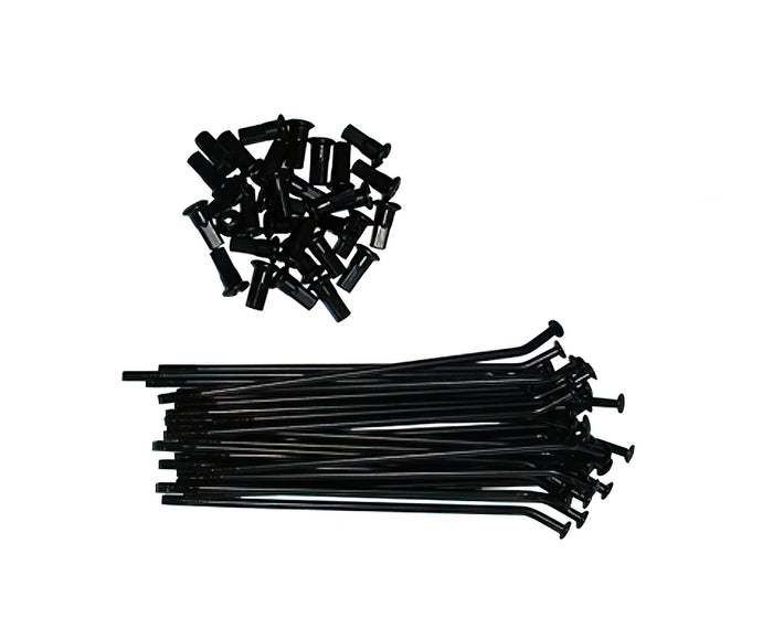 MBJR14-BLACK Raggi 14" - 32 x 14,5cm Pit Bike / Dirt Bike nero